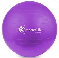 SmarterLife Exercise Ball 55cm